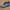 Gray and navy athletic sneaker on a wooden floor, featuring a knit upper and blue sole.